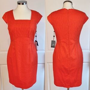 Adrianna Papell NEW Coral Sheath Dress Size 8P